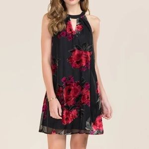 Francesca’s High Neck Dress